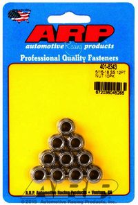 ARP 5/16-18 SS 12pt nut kit