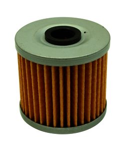 AEM High Volume Fuel Filter Element (Replacement) for 25-200BK